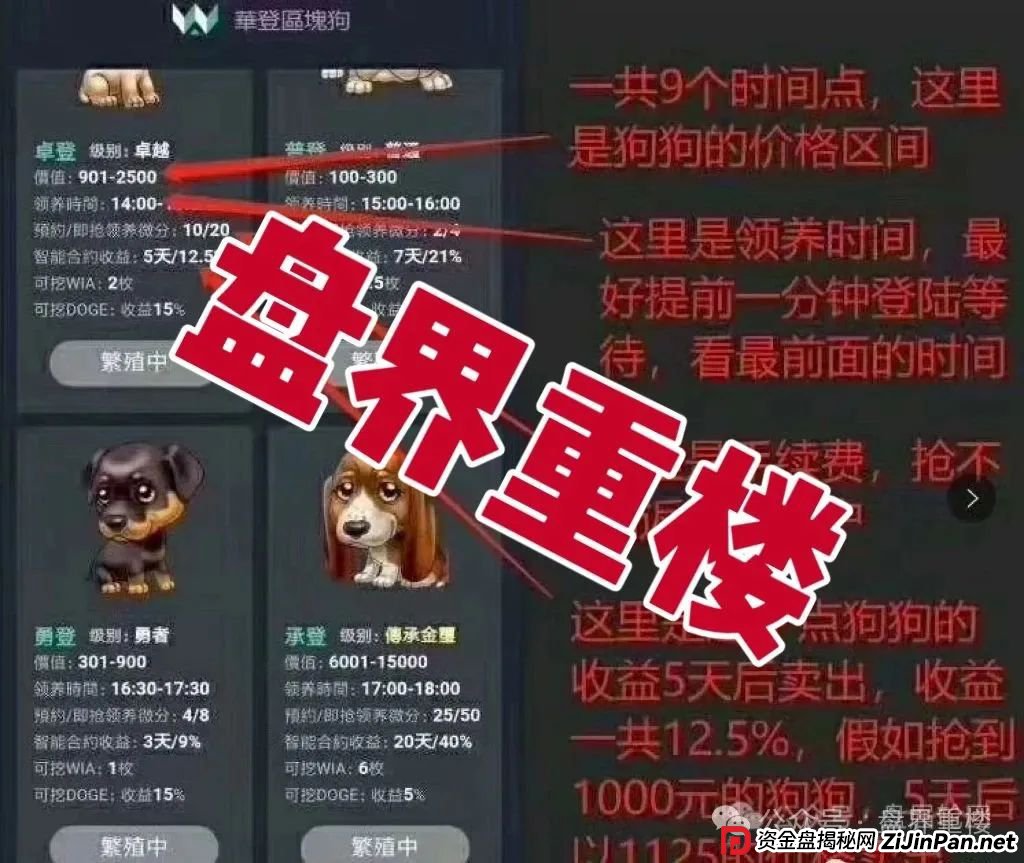 巢音世代抢单类资金盘骗局,操盘手圈钱过亿,即将崩盘跑路!(3) 巢音世代抢单类资金盘骗局,操盘手圈钱过亿,即将崩盘跑路!(3)