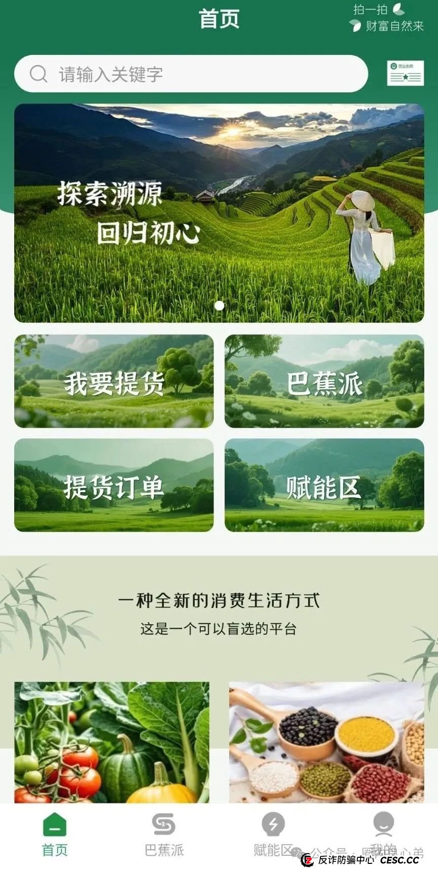 悠然境-巴蕉派小红蕉,互助竞拍骗局,多数投资者反应,提现不到账(3) 悠然境-巴蕉派小红蕉,互助竞拍骗局,多数投资者反应,提现不到账(3)