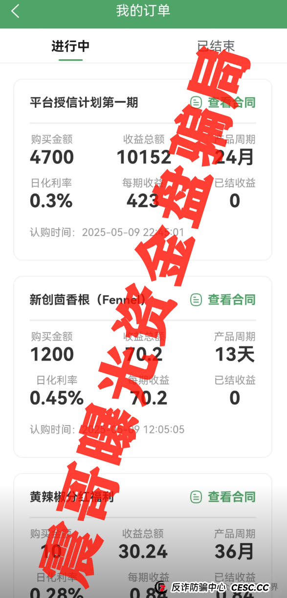 新创人SCEA最新骗局起底！震哥血泪警告：韭菜们快跑！(3)