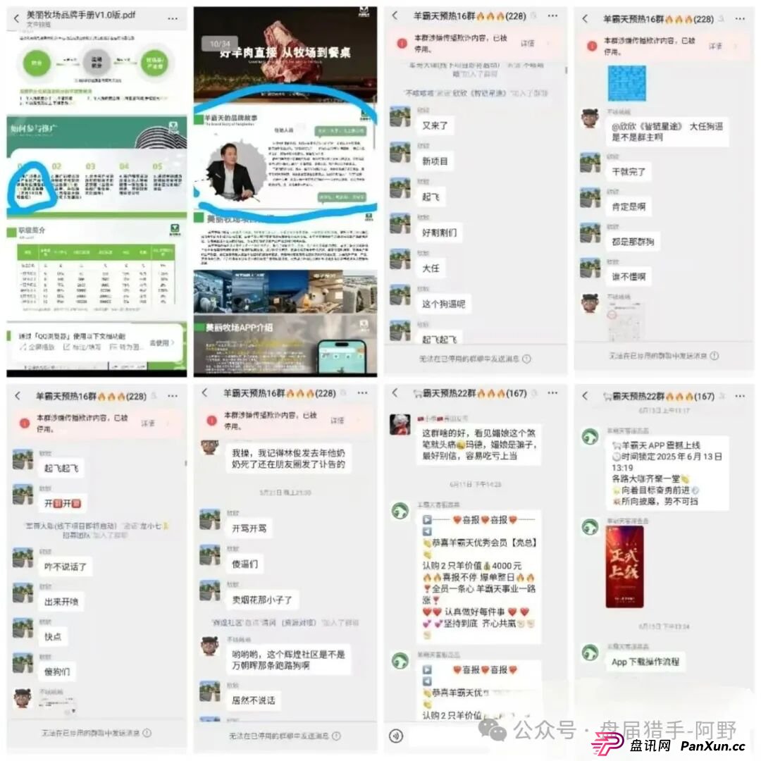 惊爆！“美丽牧场羊霸天”未上线狂揽4000万，竟是惊天资金盘骗局(5)