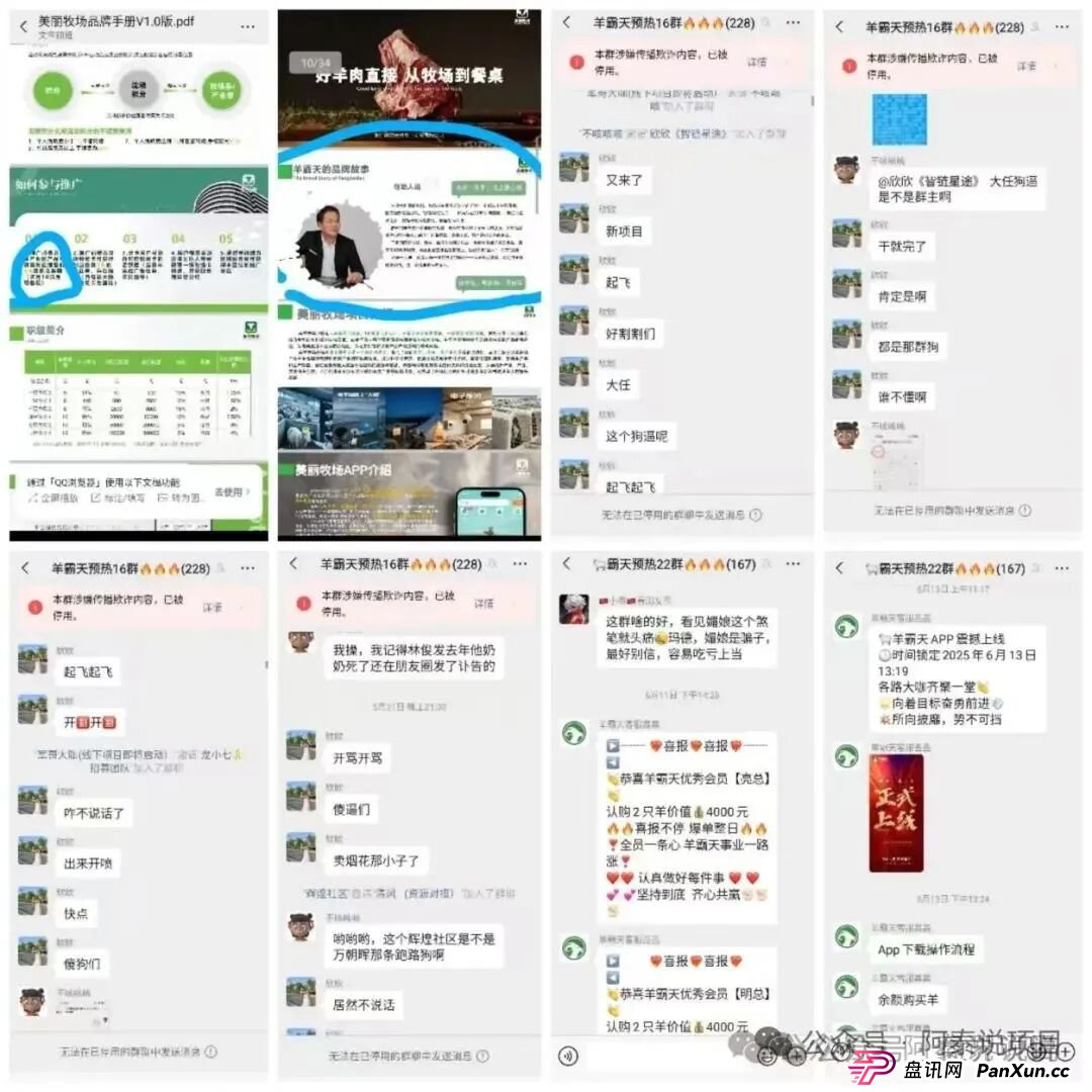 “美丽牧场羊霸天”没上线就圈走4000万,层层吸血资金早已经分配转移(2) “美丽牧场羊霸天”没上线就圈走4000万,层层吸血资金早已经分配转移(2)