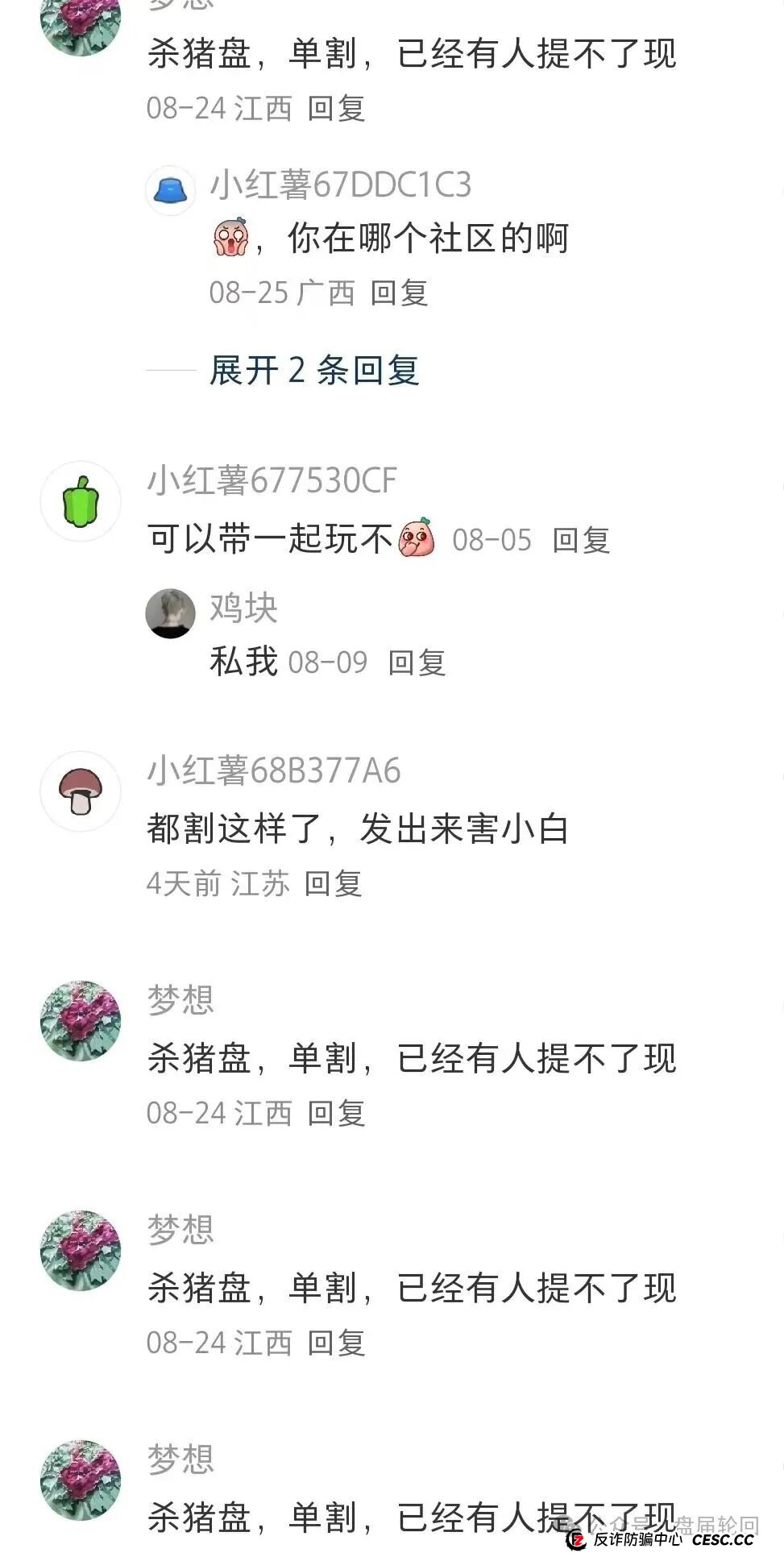 【睿盛环球】Golden Link，已经开始单割，前身叫做博瑞通，留给韭菜的时间不多了，看到远离！(4)