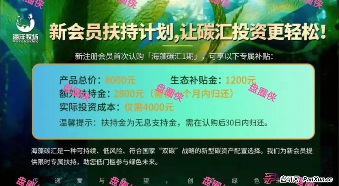 曝光：最新资金盘项目骗局，海洋牧场，益友荟，olga欧嘉...随时可能卷钱跑路(2)