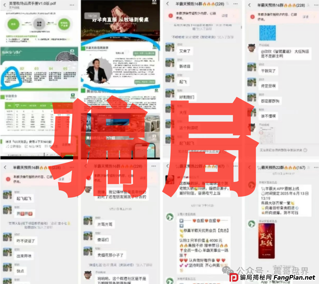 羊霸天美丽牧场:震哥带你扒皮这个空壳骗局(4) 羊霸天美丽牧场:震哥带你扒皮这个空壳骗局(4)