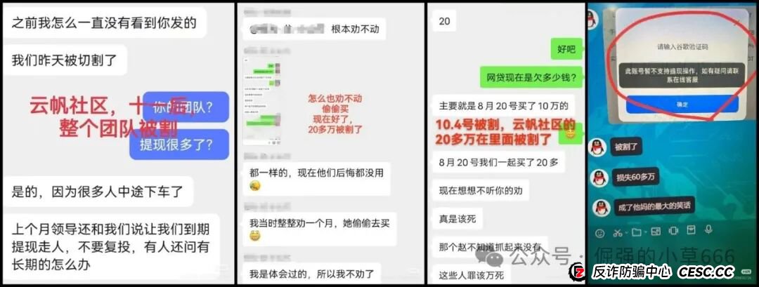 高度预警！“香港维尔利”杀猪盘全面崩盘实录：缅北遥控、专割中老年、圈钱超10亿！(10)