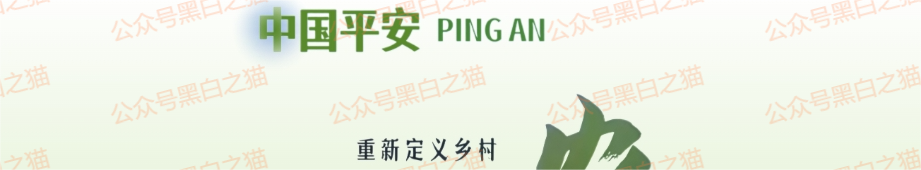 资金盘|短命“恒力集团”返利快杀盘花样频出,参与人小心盘总一夜消失......(2) 资金盘|短命“恒力集团”返利快杀盘花样频出,参与人小心盘总一夜消失......(2)