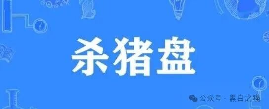 资金盘|电诈团伙伪冒“TCV资本”,通过话术精准诱惑孤单女性投资,被围猎者还飘飘欲仙......(1) 资金盘|电诈团伙伪冒“TCV资本”,通过话术精准诱惑孤单女性投资,被围猎者还飘飘欲仙......(1)