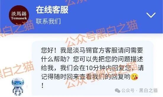 资金盘|“淡马锡控股”遭诈骗碰瓷,新加坡官网设立警报提示......(7) 资金盘|“淡马锡控股”遭诈骗碰瓷,新加坡官网设立警报提示......(7)