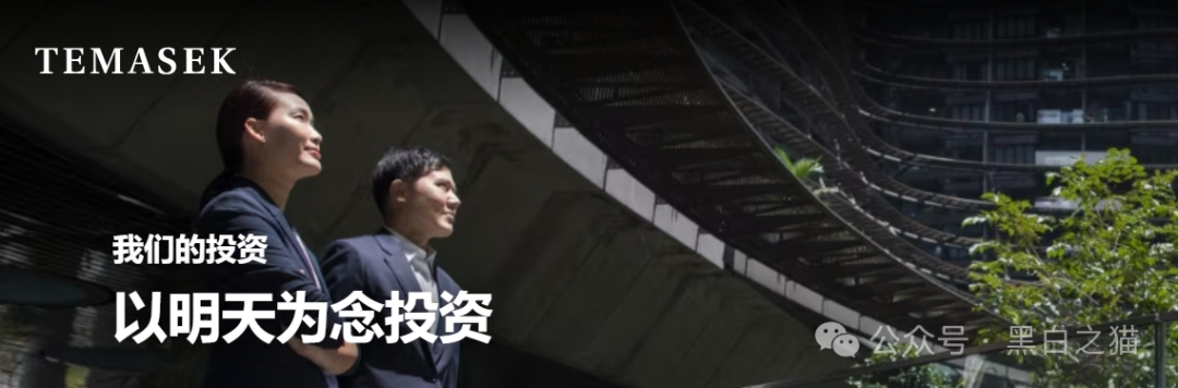 资金盘|“淡马锡控股”遭诈骗碰瓷,新加坡官网设立警报提示......(2) 资金盘|“淡马锡控股”遭诈骗碰瓷,新加坡官网设立警报提示......(2)