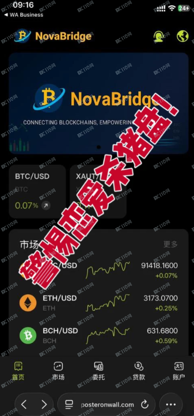 曝光NovaBridge虚假交易所恋爱杀猪盘(1) 曝光NovaBridge虚假交易所恋爱杀猪盘(1)
