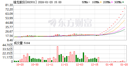 追平2025年纪录!市场再现“15连板”股 近年高标热股扫描 这些方向占比较高(1) 追平2025年纪录!市场再现“15连板”股 近年高标热股扫描 这些方向占比较高(1)