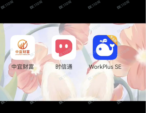 川湘资本诈骗！王元杰刘雅宁诈骗团伙！(1)