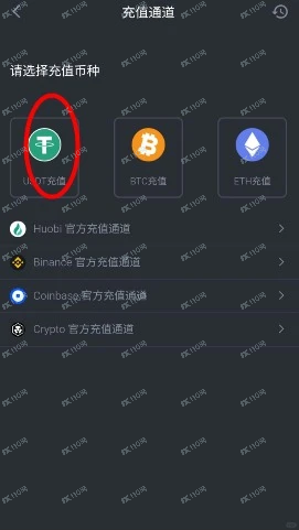 COSLD虚拟货币杀猪盘(2) COSLD虚拟货币杀猪盘(2)