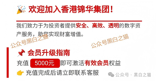 锦华科技/锦华传媒是资金盘骗局，境外诈骗园区项目，看见远离