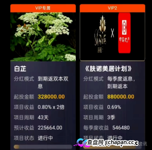 最新曝光18个资金盘虚拟币骗局项目,有些即将崩盘(1) 最新曝光18个资金盘虚拟币骗局项目,有些即将崩盘(1)