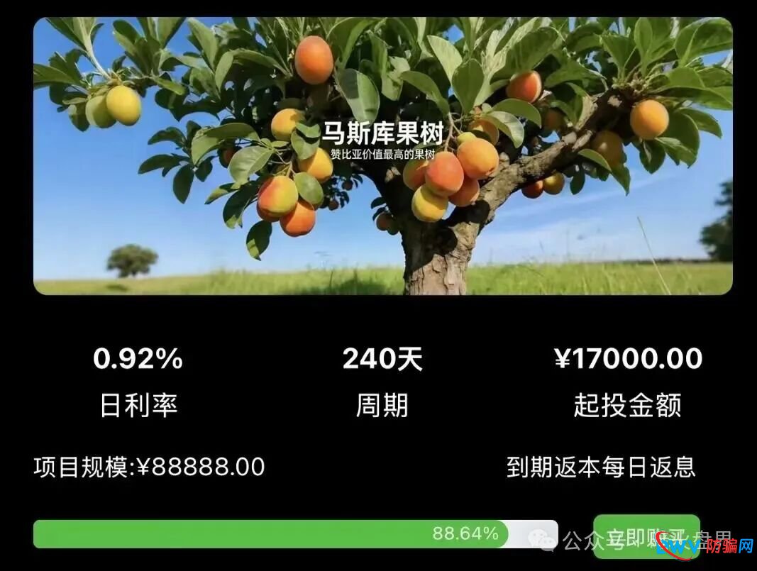 “华洋绿投”骗局全解析：日息近1%、保本返利？实为包装精美的金字塔式传销诈骗(3)