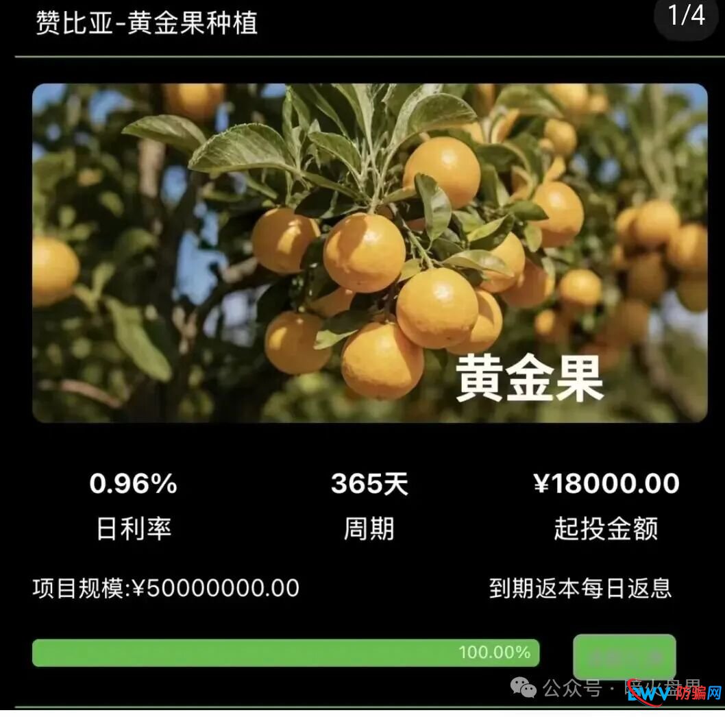 “华洋绿投”骗局全解析：日息近1%、保本返利？实为包装精美的金字塔式传销诈骗(4)