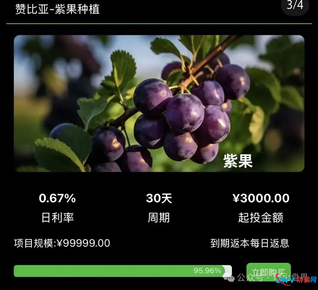 “华洋绿投”骗局全解析：日息近1%、保本返利？实为包装精美的金字塔式传销诈骗(2)