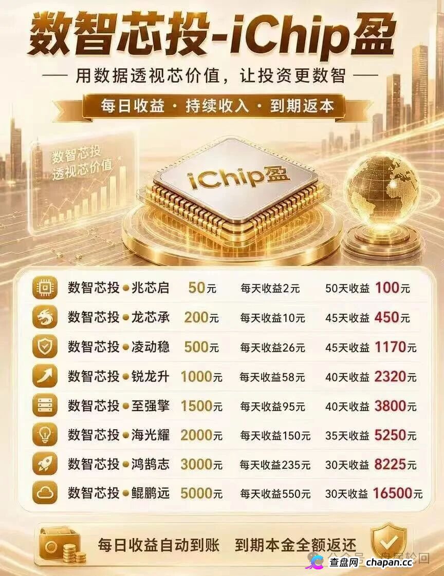 投5000日赚550，年化超4000%｜数智芯投的“芯片投资”，买的不是芯片，是下一批