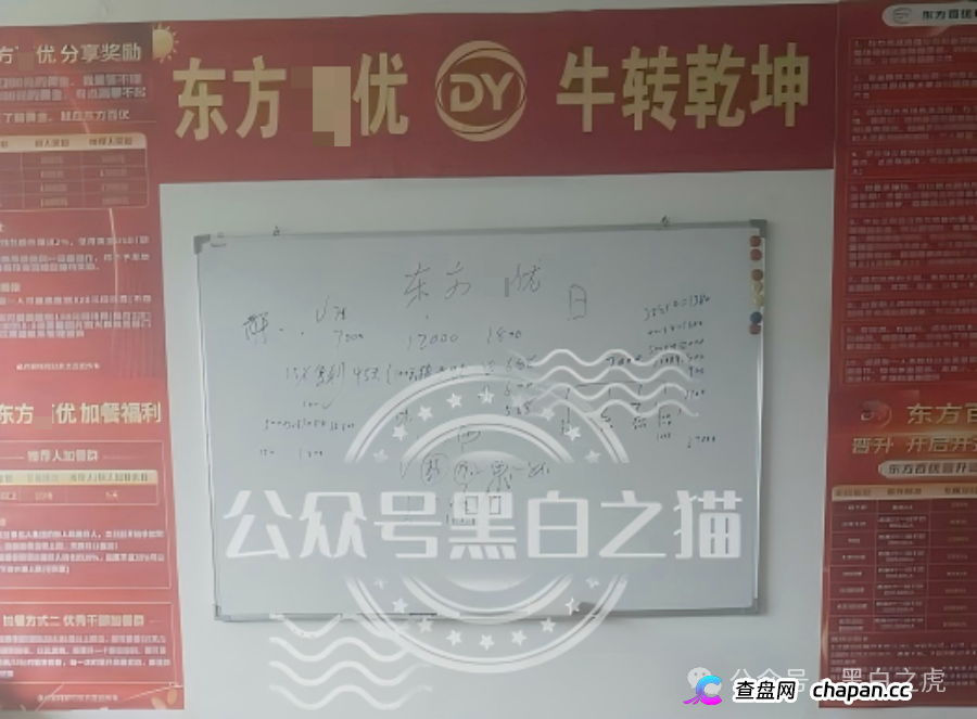山东团队拉新变慢，项目方KPI定生死｜“东方百优”单割倒计时进入最后10天